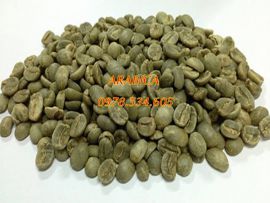 CÀ PHÊ NHÂN ARABICA TẠI HÀ NỘI