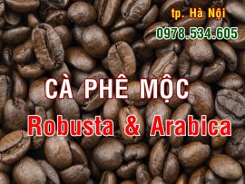 MUA CÀ PHÊ HẠT RANG MỘC ROBUSTA & ARABICA Ở HÀ NỘI