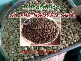 MUA CÀ PHÊ NGON, CÀ PHÊ NGUYÊN CHẤT SẠCH TẠI THANH HÓA